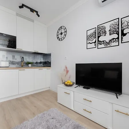 In With Air Condition & Balcony By Renters *