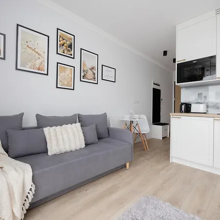 In With Balcony & Air Condition By Renters Appartement *